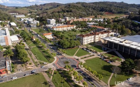 UFV conquista nota máxima do Enade em 11 cursos de licenciatura