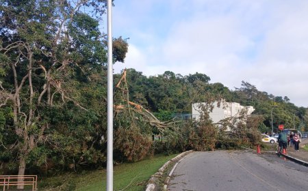 Inmet registra chuvas acima da média para o mês e ventos de 86 Km/h em Viçosa