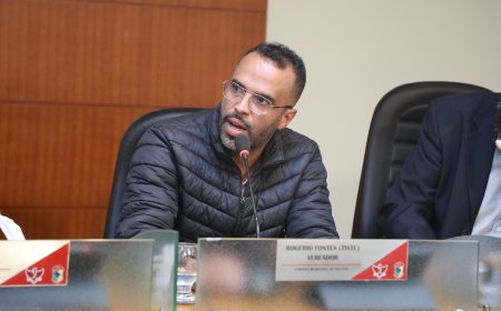 Câmara de Viçosa derruba veto do prefeito e libera e-commerce em áreas residenciais