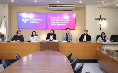 Comissão vai estudar enquadramento de auxiliares da educação infantil na carreira do magistério em Viçosa