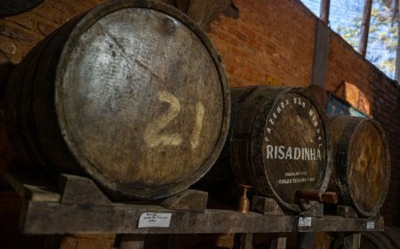 Senar realiza workshops gratuitos na 96ª Semana do Fazendeiro