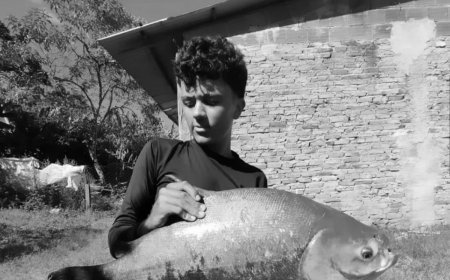 Falece aos 14 anos coimbrense Liedson Waquim