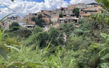TCE MG aponta que estado gasta mais com desfechos de desastres naturais do que na prevenção