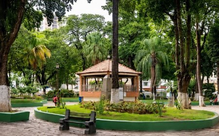 Prefeitos da Zona da Mata se mobilizam em defesa do desenvolvimento regional nesta sexta-feira