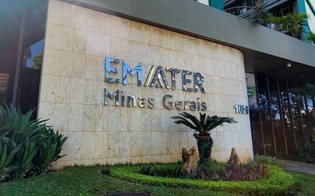 Emater-MG abre concurso com 120 vagas e salários de até R$ 7,3 mil