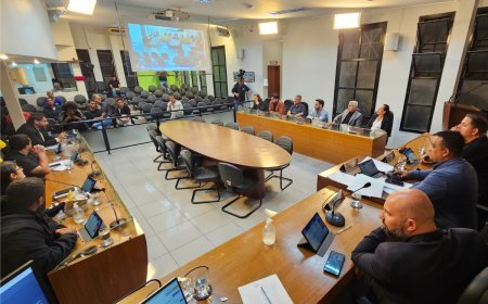 Câmara de Viçosa retoma sessões ordinárias amanhã