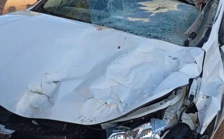 Cavalo morre e motorista fica ferido após acidente na MG-447