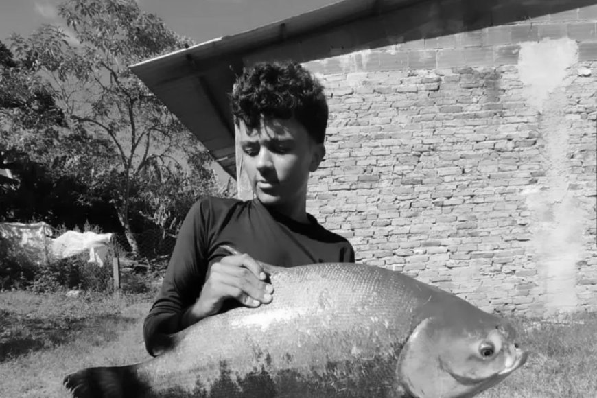Falece aos 14 anos coimbrense Liedson Waquim