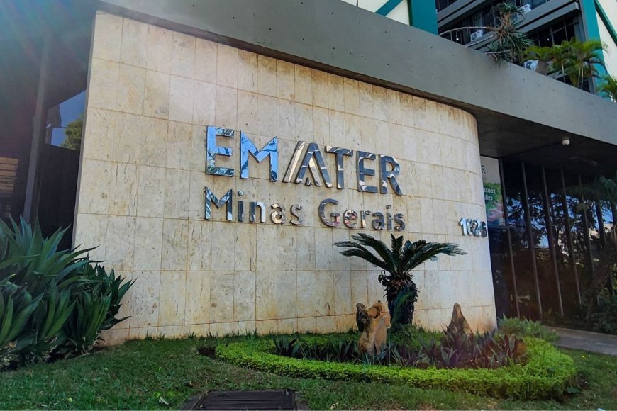 Emater-MG abre concurso com 120 vagas e salários de até R$ 7,3 mil