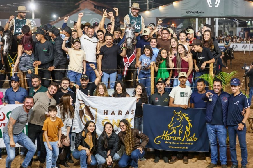 Viçosense faz história no maior evento equestre da América Latina