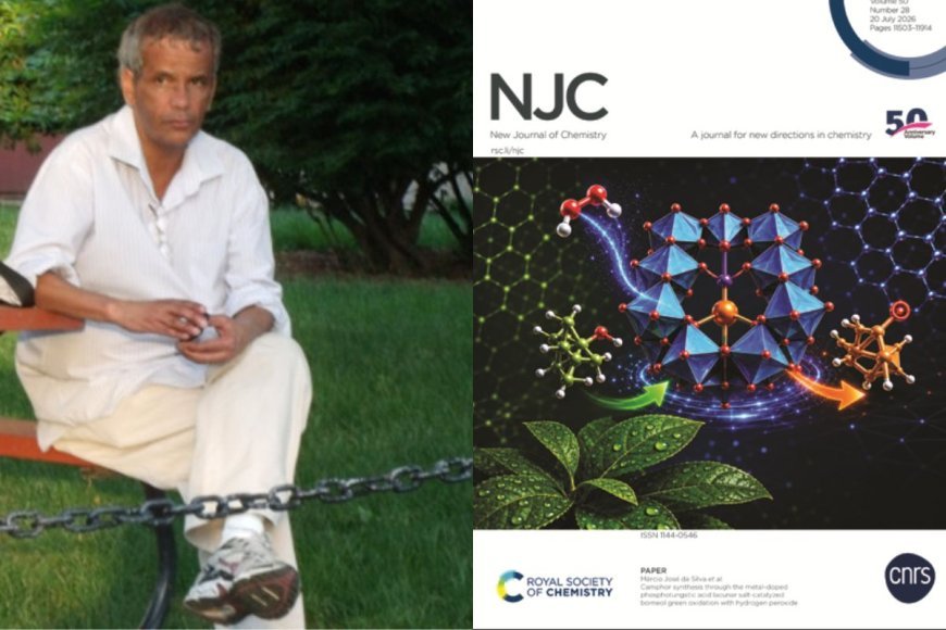 Trabalho da UFV é capa em revista científica internacional
