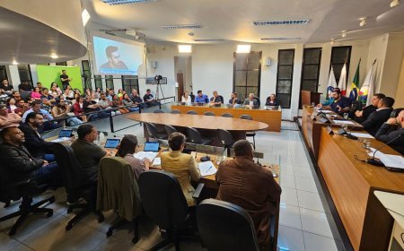 Protestos e declarações marcam volta da Câmara Municipal