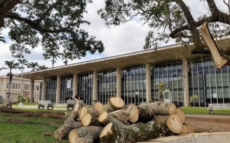 Inmet emite alerta de perigo potencial com vendavais em Viçosa e região