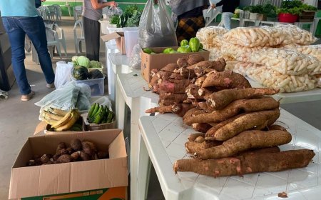 Viçosa promove distribuição de 800 quilos de alimentos