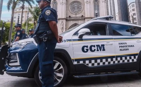 Vereadora interrompe tramitação do projeto da Guarda Municipal com pedido de audiência pública