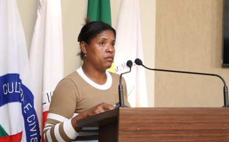 Moradora de Viçosa apresenta demandas da região das Coelhas na Câmara