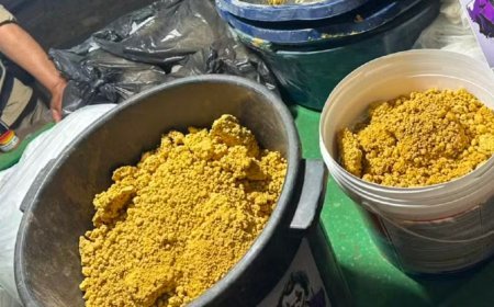 Polícia desarticula laboratório de drogas em VRB