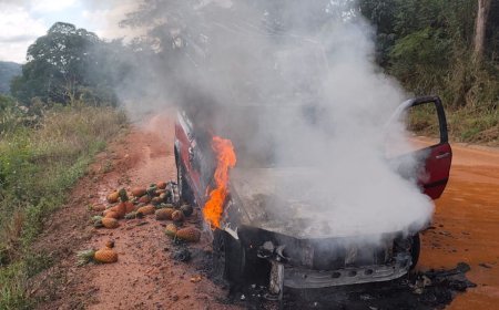 Morador de Viçosa perde picape de trabalho após incêndio em Piranga