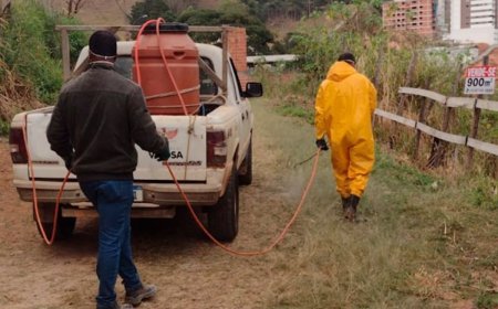 Prefeitura inicia uso de capina ecológica em Viçosa