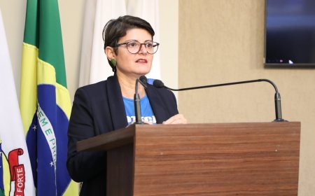 PL traz regras para recolhimento de animais soltos em Viçosa