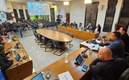 Audiência vai discutir criação e armamento da Guarda Municipal de Viçosa