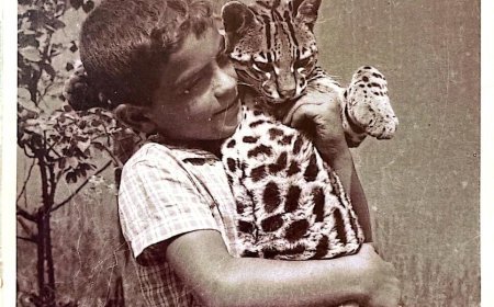 COLUNA | O amigo da onça