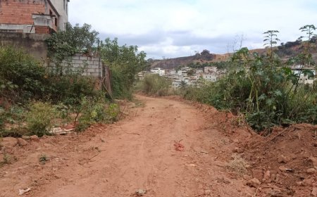 PMV realiza limpeza em trecho da antiga linha férrea entre Laranjal e Portugueses