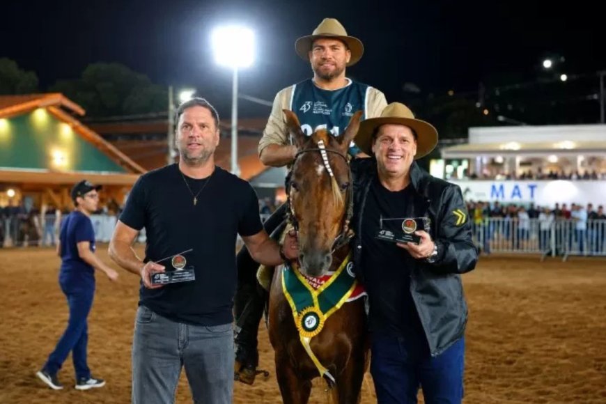 Haras CSC conquista 16 títulos no Nacional do Mangalarga Marchador