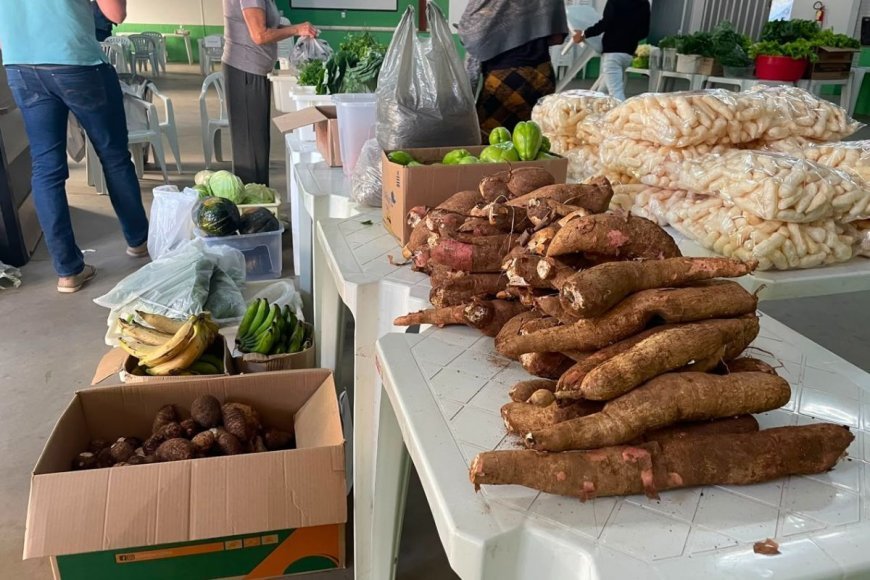 Viçosa promove distribuição de 800 quilos de alimentos