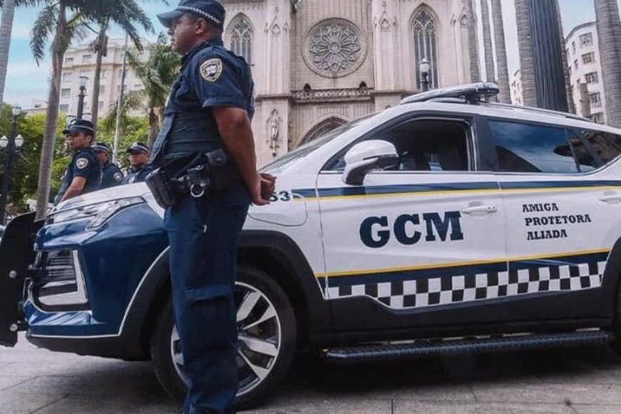 Vereadora interrompe tramitação do projeto da Guarda Municipal com pedido de audiência pública