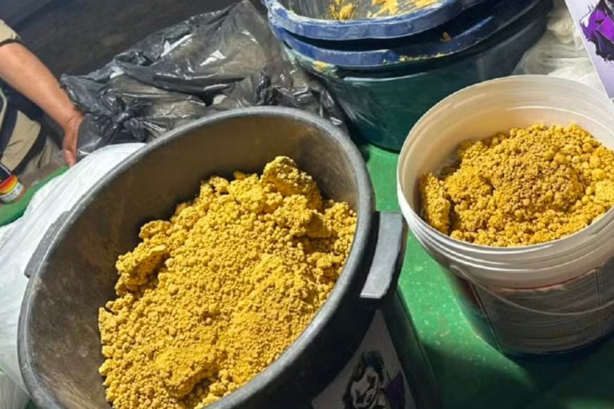 Polícia desarticula laboratório de drogas em VRB