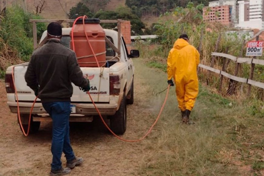 Prefeitura inicia uso de capina ecológica em Viçosa
