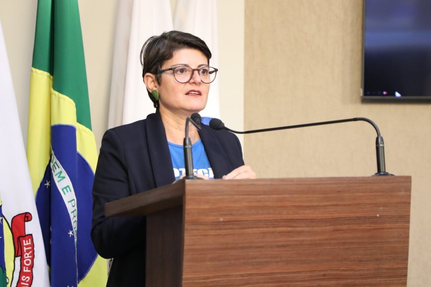 PL traz regras para recolhimento de animais soltos em Viçosa
