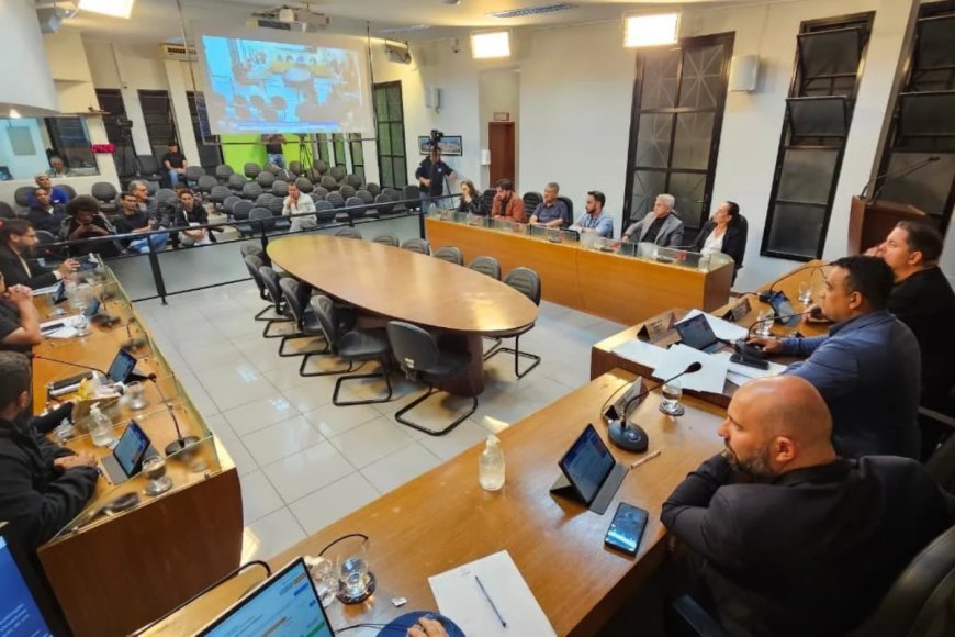 Audiência vai discutir criação e armamento da Guarda Municipal de Viçosa