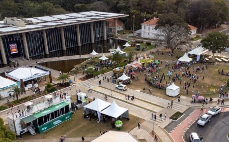 UFV tem programas de pós-graduação com inscrições abertas