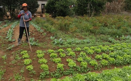 Viçosa promove III Semana da Agricultura Familiar em setembro
