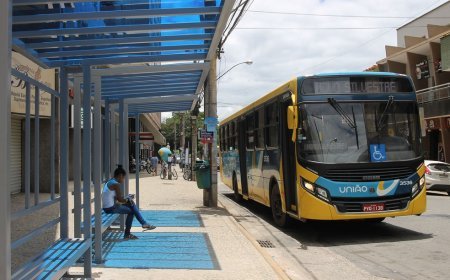 Identificação das linhas de ônibus em Viçosa pode mudar