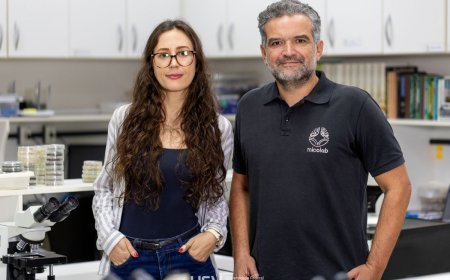 Pesquisadores da UFV recebem menção honrosa em prêmio nacional
