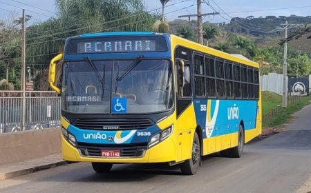 Câmara de Viçosa aprova projeto que prevê números para linhas de ônibus