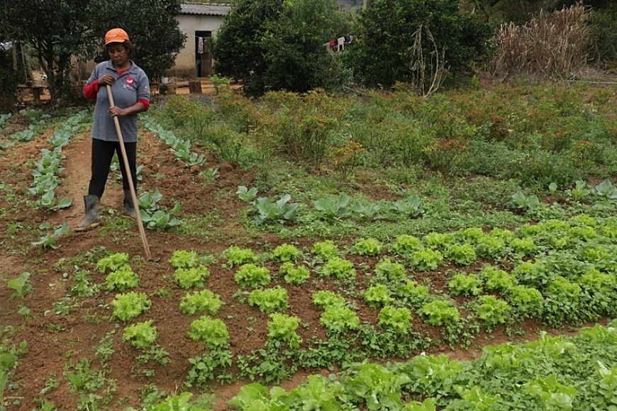 Viçosa promove III Semana da Agricultura Familiar em setembro