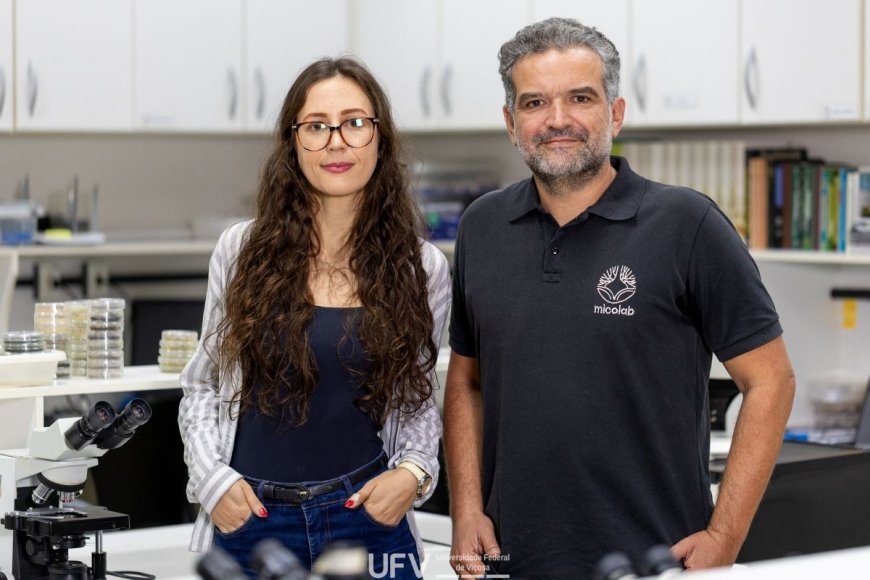Pesquisadores da UFV recebem menção honrosa em prêmio nacional
