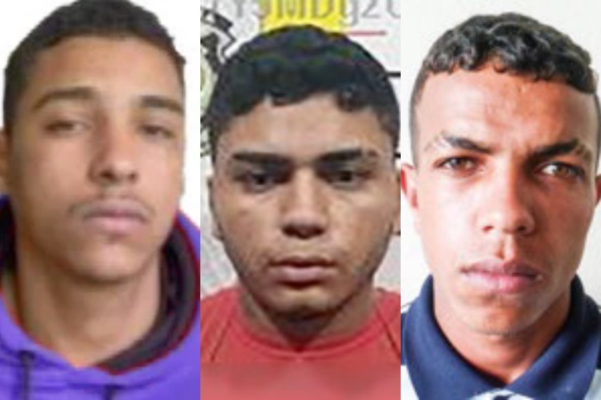 Operação Arlequina: Justiça condena quatro por organização criminosa ligada ao tráfico em Viçosa