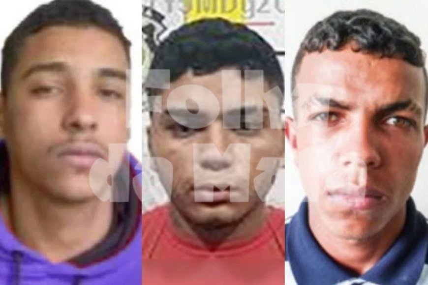 Operação Arlequina: Justiça condena quatro por organização criminosa ligada ao tráfico em Viçosa
