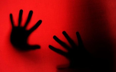 Casa das Mulheres atendeu mais de 300 mulheres em situação de violência em Viçosa no 1º semestre de 2026