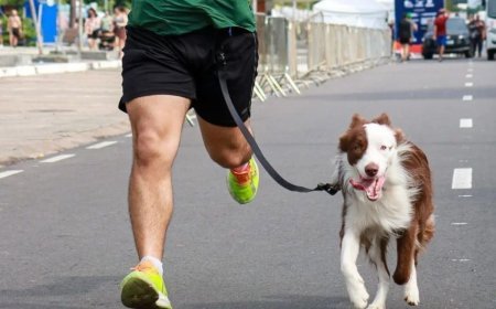 Empresa júnior da UFV promove corrida para tutores e pets