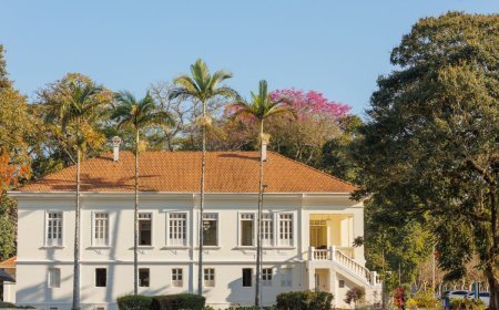UFV elegerá novos reitor e vice-reitor em dezembro