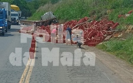 Caminhoneiro perde controle e derruba carga com galinhas entre Ubá e Rodeiro