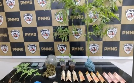 Polícia prende homem acusado de plantar e traficar maconha em Ervália