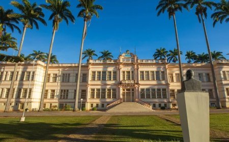 UFV abre concursos para professores