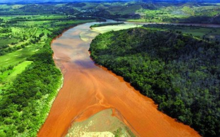 UFV e Governo de Minas prorrogam as inscrições para edital que visa garantir auxílio a cooperativas do Rio Doce